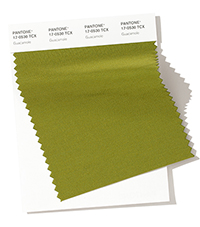 PANTONE 17-0530.jpg